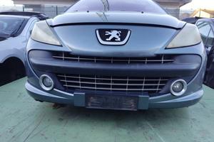 Paraurti anteriore PEUGEOT 207 del 2007