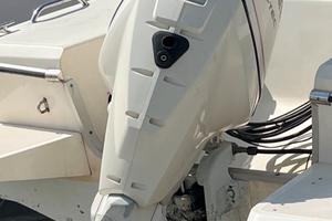 Evinrude e-tech 150cv