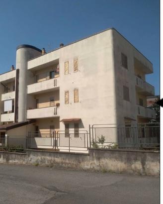 Vendita appartamento