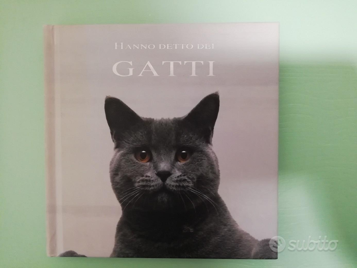 Libro Fotografico Di Gatti: 100 Bellissime Foto In Questo