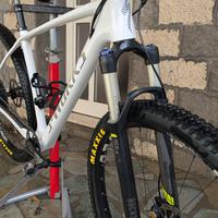 Telaio Specialized Sworks 29 mtb