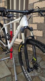 Telaio Specialized Sworks 29 mtb