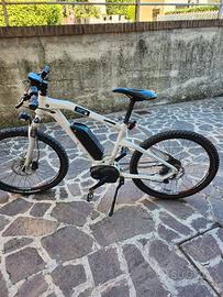 ebike