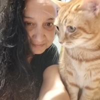 Pulizie Case vacanza, b&b, privati ecc