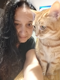 Pulizie Case vacanza, b&b, privati ecc