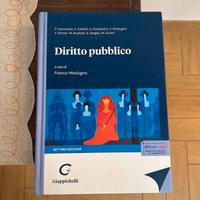 manuale universitario di diritto pubblico