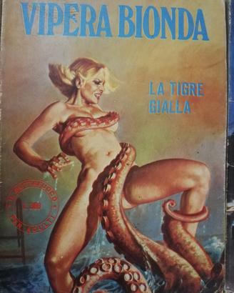 Lotto 5 Fumetti VIPERA BIONDA–Numeri Misti Vintage