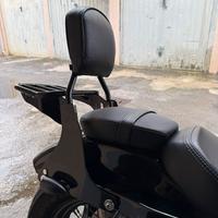 Sissy Bar a sgancio rapido originale Harley