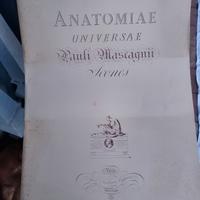 Stampe anatomia anni 70