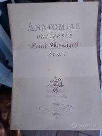 Stampe anatomia anni 70