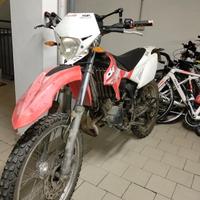  beta rr50 