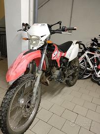  beta rr50 