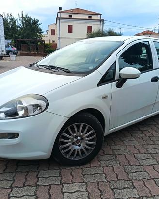 Fiat Punto 5 Porte Punto 5p 1.3 mjt Street s&s 95c