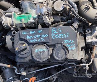 Motore Vw. 2.0 tdi BLS 170000km.