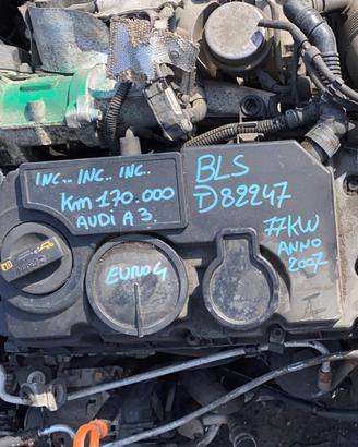 Motore Vw. 2.0 tdi BLS 170000km.