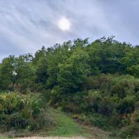 Terreno agricolo con fabbricati Malito ( cs)