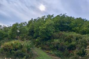 Terreno agricolo con fabbricati Malito ( cs)