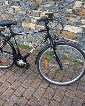 Bicicletta da passeggio