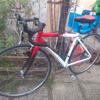 Bici da corsa da donna