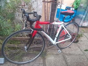 Bici da corsa da donna