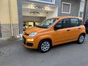 fiat-panda-1-2-easypower-gpl