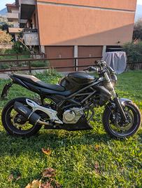 Suzuki Gladius 650