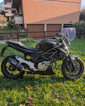Suzuki Gladius 650