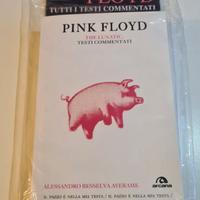 Pink Floyd - The Lunatic - Testi Commentati