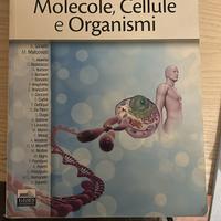 Molecole, cellule e Organismi