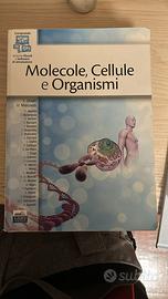 Molecole, cellule e Organismi