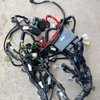 Impianto elettrico Yamaha MT-09