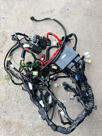 Impianto elettrico Yamaha MT-09