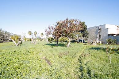 Casolare con ampio giardino