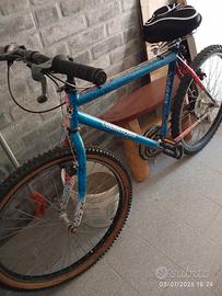 Colnago sport