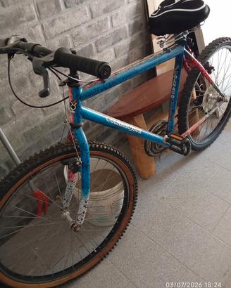 Colnago sport