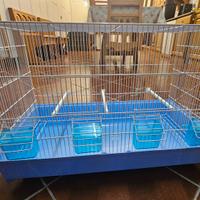 Gabbia x animali uccelli e vari 