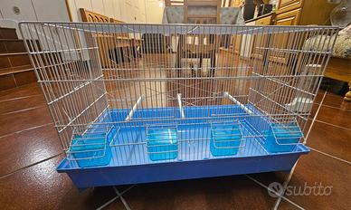 Gabbia x animali uccelli e vari 