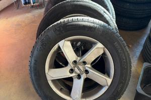 Gomme nexen