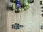 Immagine 5