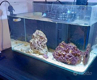 Acquario 40x25x25