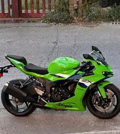 Ninja 636 2026 