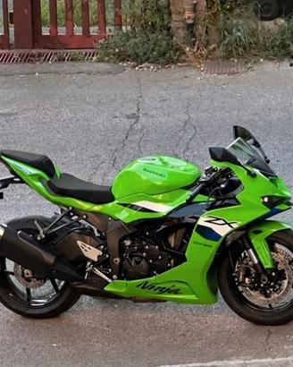 Ninja 636 2026 