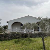 La casa nell' oliveto - Casa vacanze (IUM: R3192