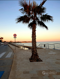 Casa vacanza ad Avola