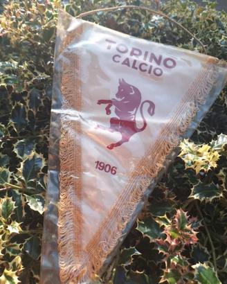 collezione sport Torino Gagliardetto 1906 