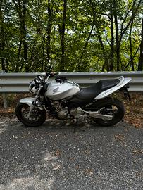 Honda hornet 600 anno 2002