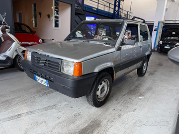 Fiat panda 4x4 trekking