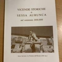 Vicende Storiche Di Sessa Aurunca 1930-1950 libro