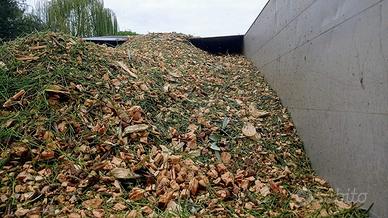 Cippato Biotriturato