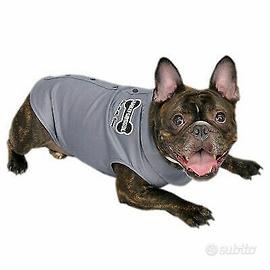 Magletta camicia cane harley davidson taglia picco